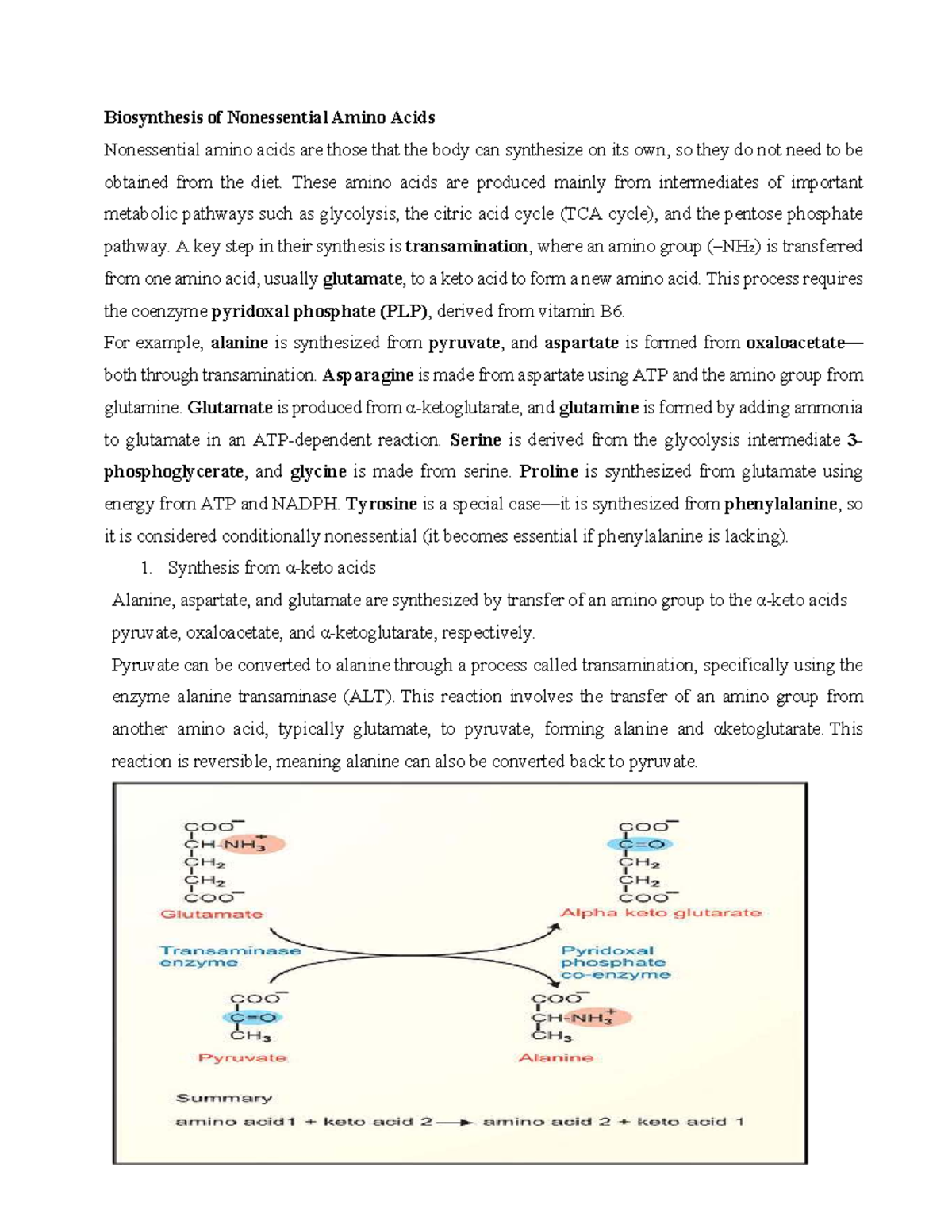 Lecture 2 - Biosynthesis of Nonessential Amino Acids - Studocu