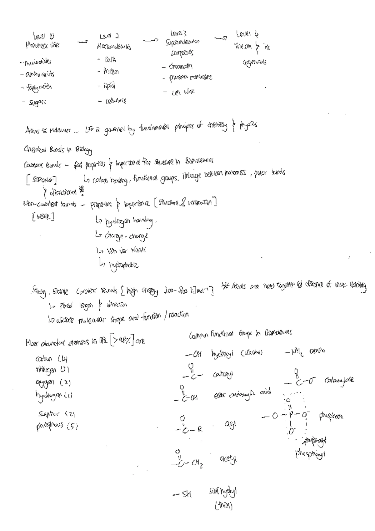 Memorisation & Formulas for Biochemistry (Biochem 101) - Studocu