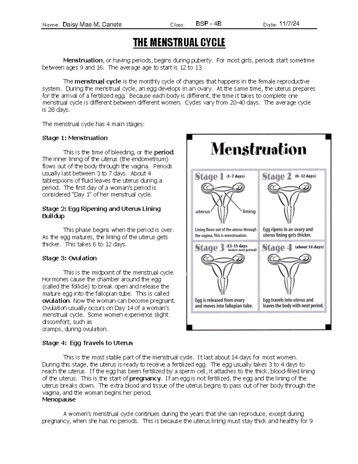 Heredity ch 6 menstrual cycle worksheet - Name: Class: Date: THE ...