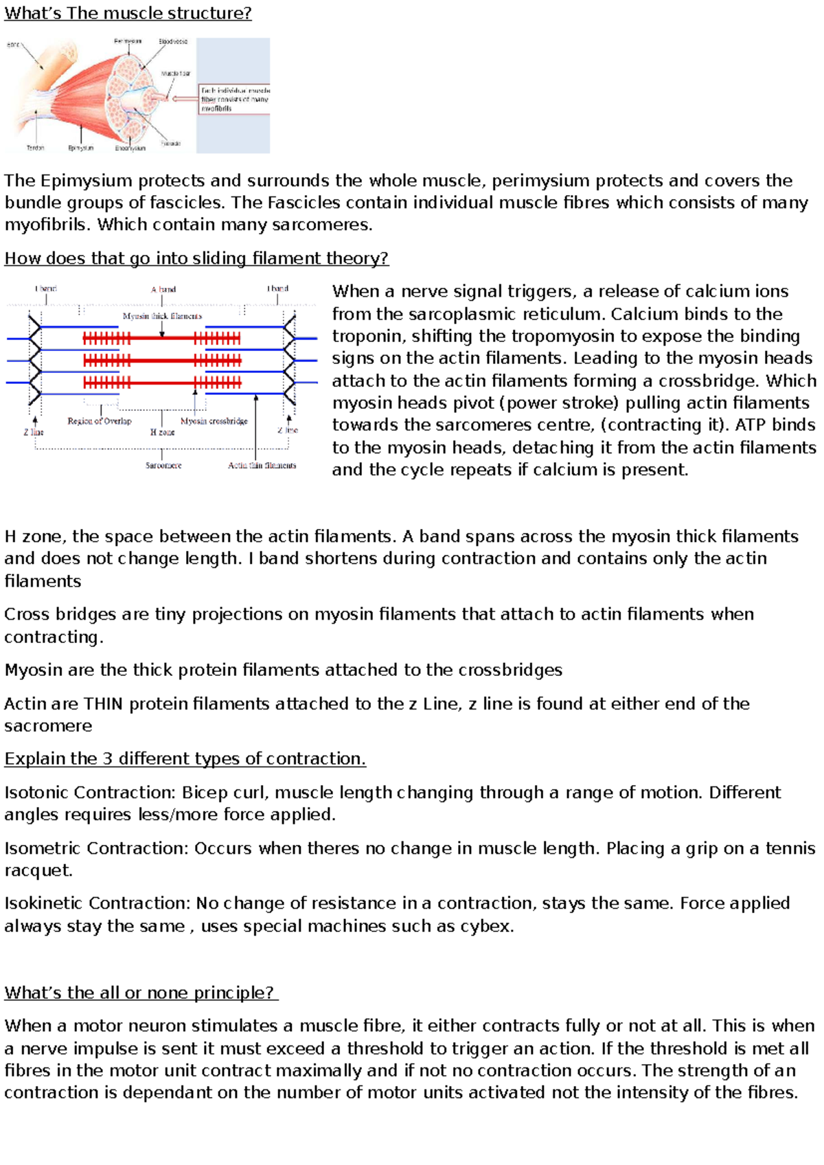 Muscle Structure and Contraction Types: Lecture Notes (BIO 101) - Studocu