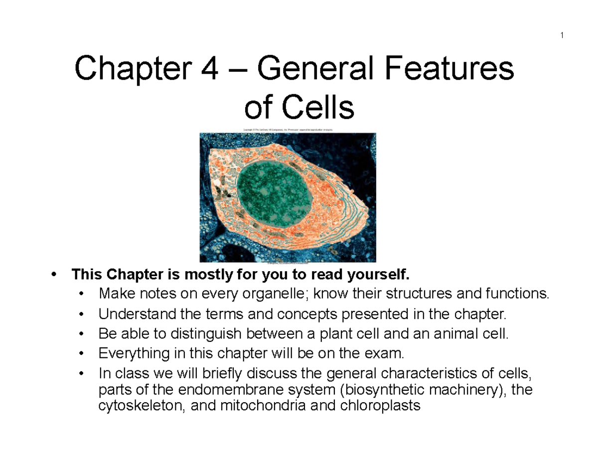 CH 4 Lecture Notes: General Features of Cells in Cell Bio - Studocu