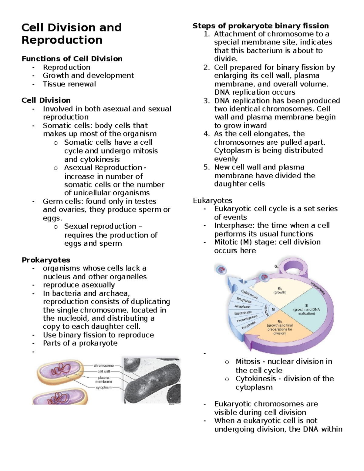 Cell Division and Reproduction Overview (d) - Studocu