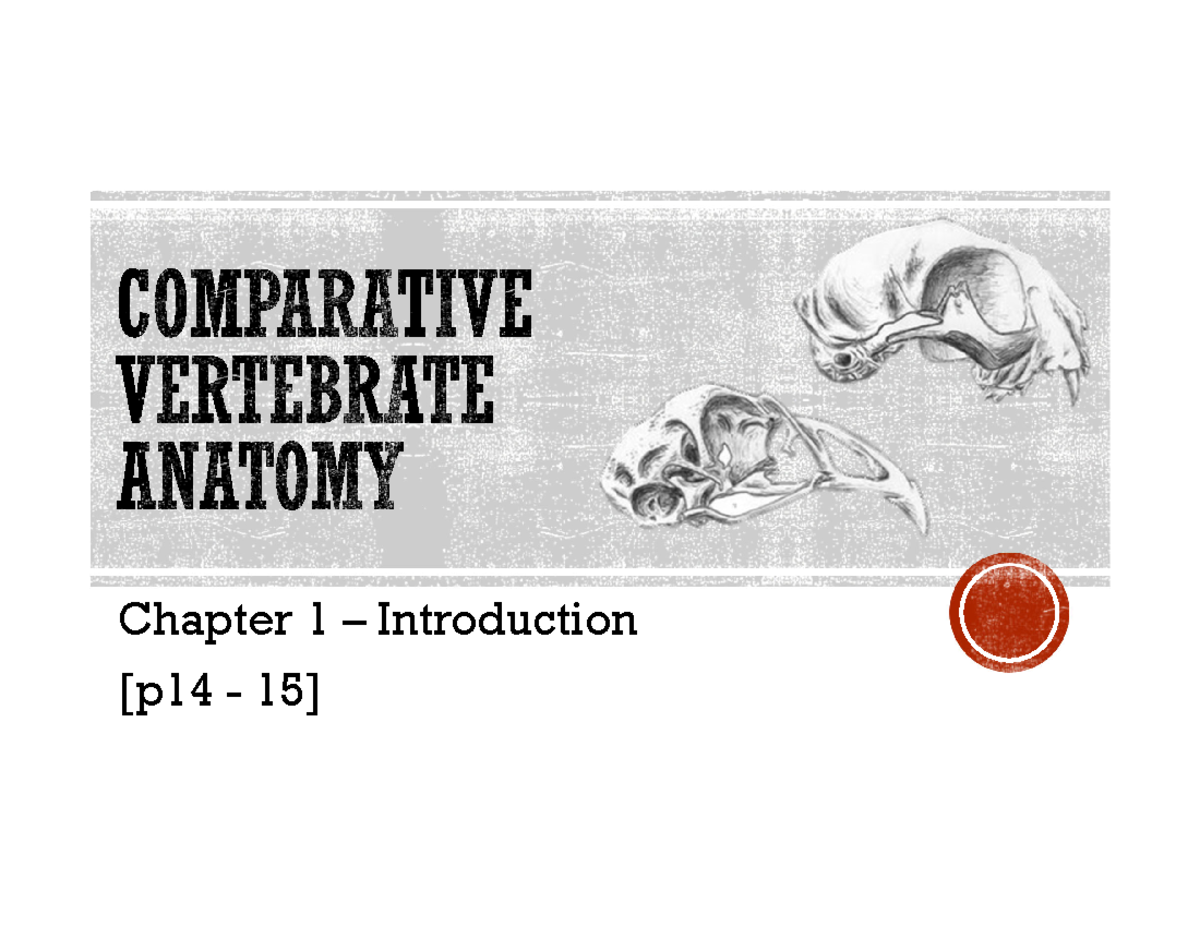 ECL201 Final Exam Lecture 2: Introduction to Morphology and Evolution ...