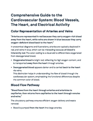 Cardiovascular System - Study Notes & Assignments - Studocu