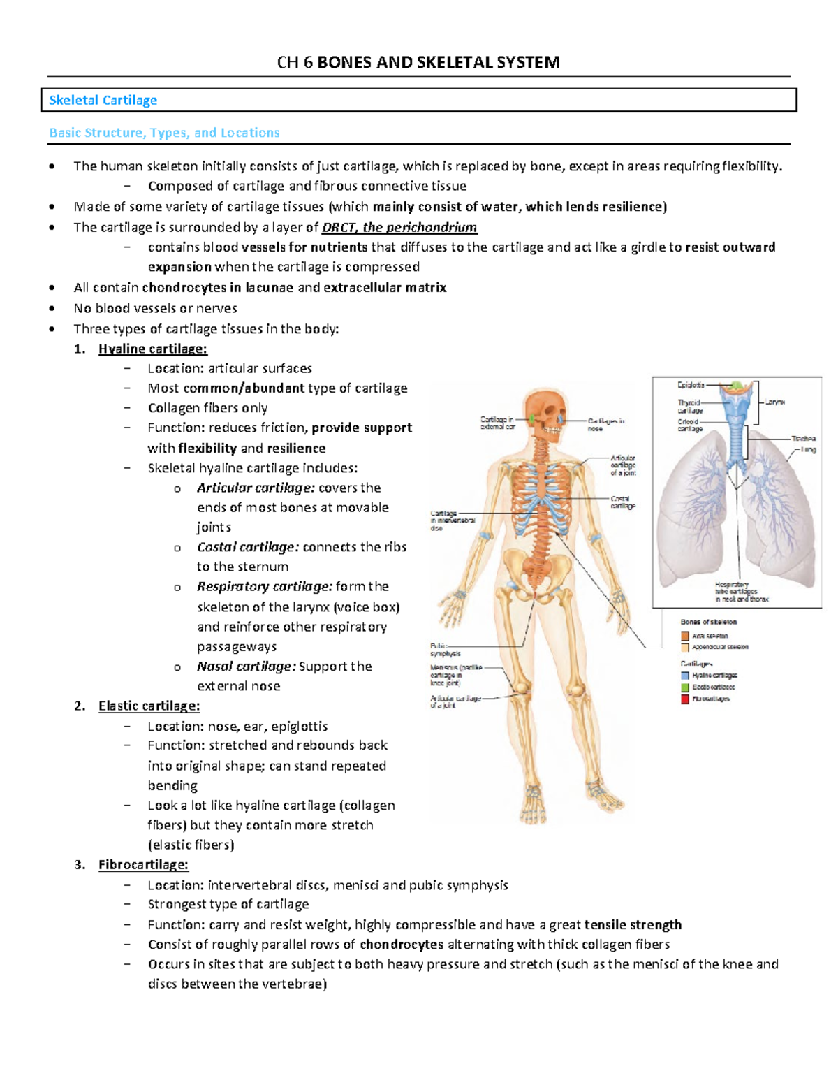 解剖学 1 Anatomy 1 Anatomy Study Guide Chapter 1-3 - Chapter 1 Levels of