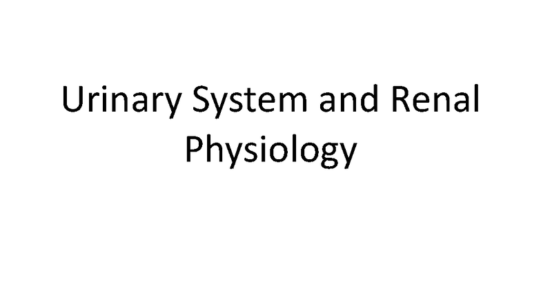 Lecture 17: Urinary System & Renal Physiology - Exam Prep Notes - Studocu