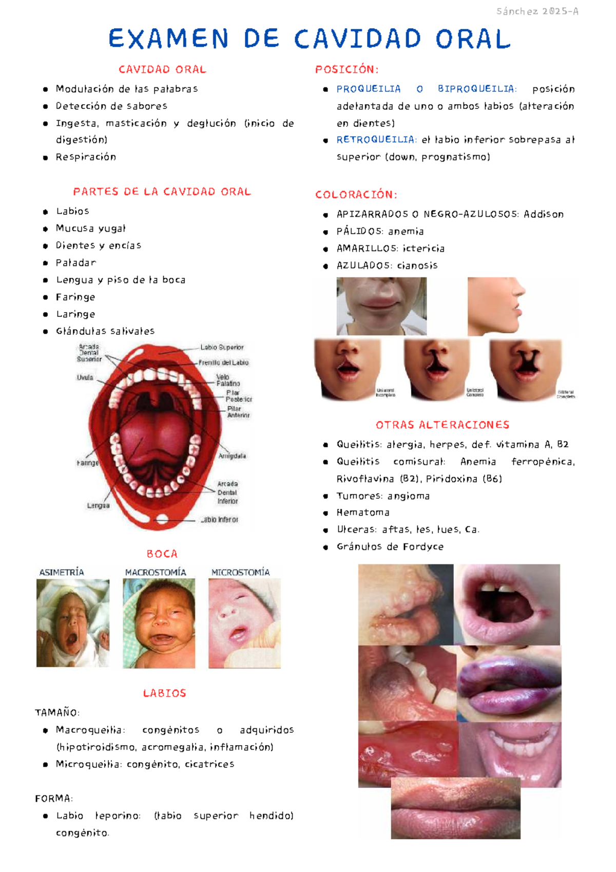 2ROT Examen de Cavidad Oral: Alteraciones y Diagnóstico - Studocu