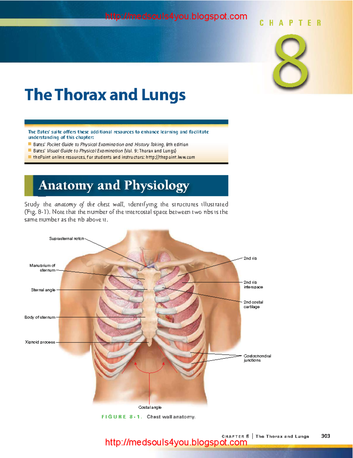 Chapter 8: The Thorax and Lungs - Anatomy Study - Studocu