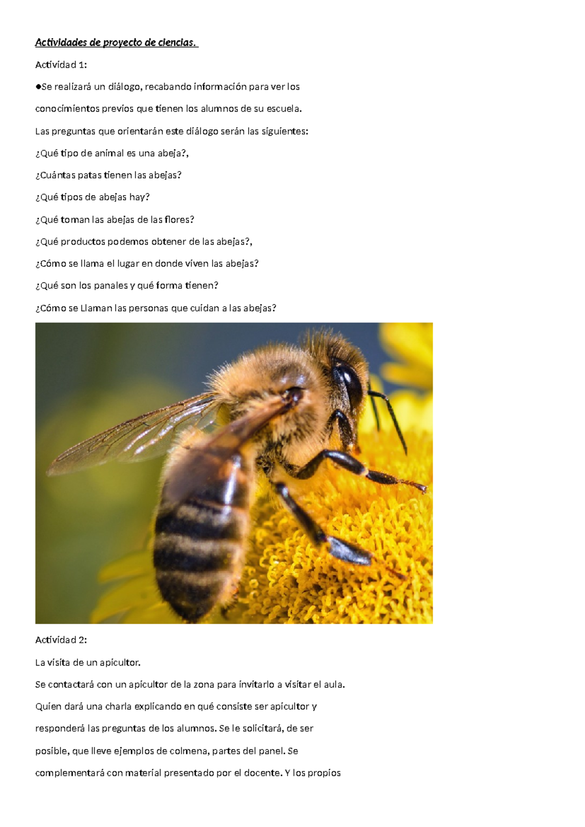 Actividades del Proyecto de Ciencias sobre las Abejas - Studocu