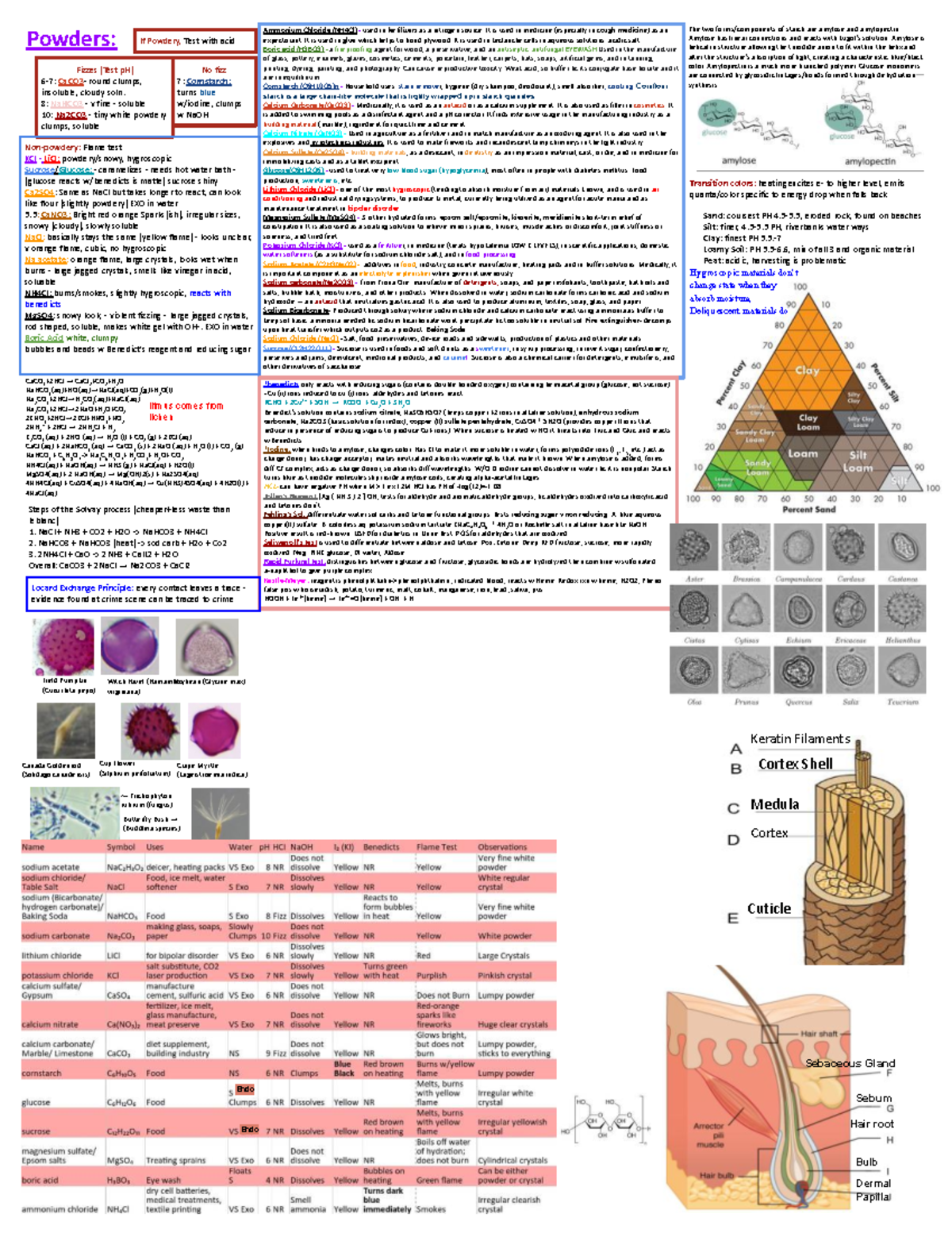 Forensics Notes (FOR 101): Comprehensive Study Guide and Key Concepts ...
