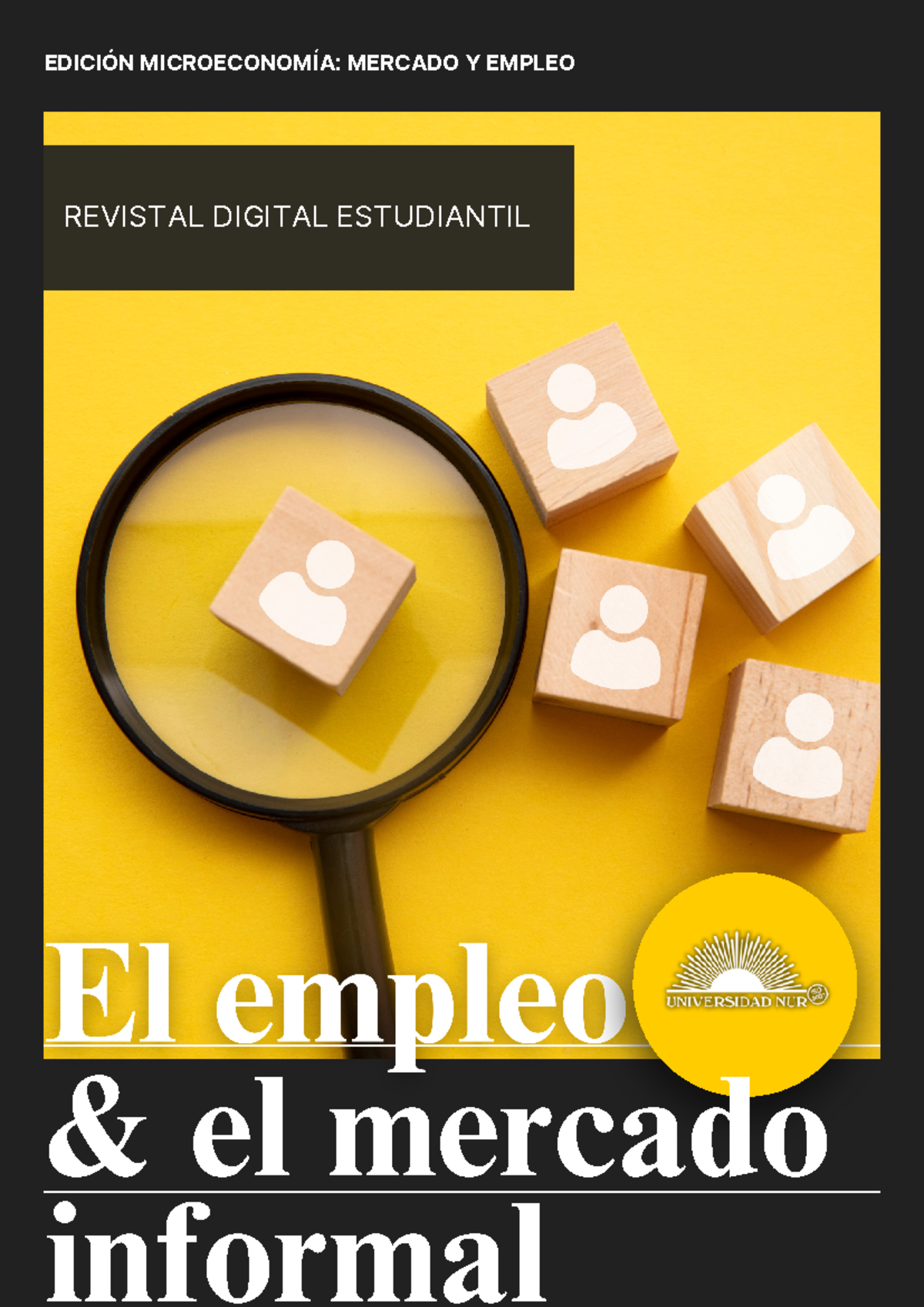 Final Exam - Proyecto de Investigación sobre el Mercado Informal en ...