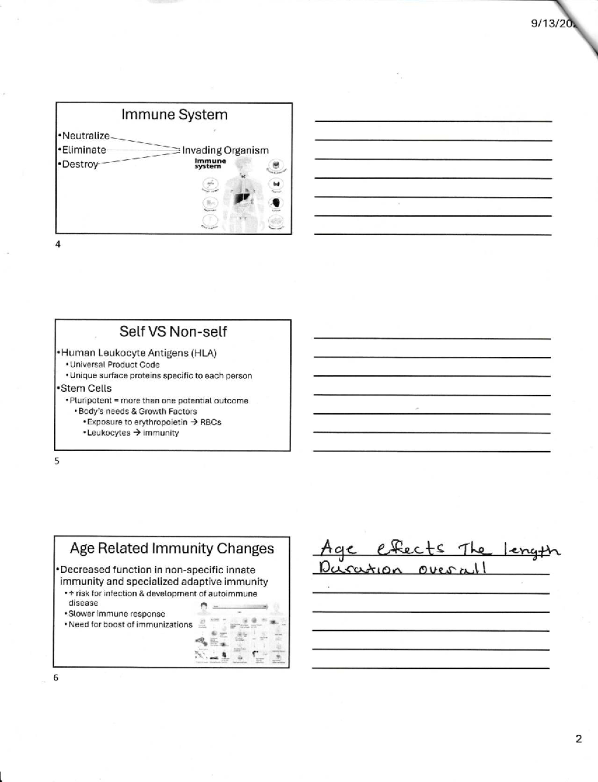 Comprehensive Study Guide for Course XYZ - Midterm Exam - Studocu