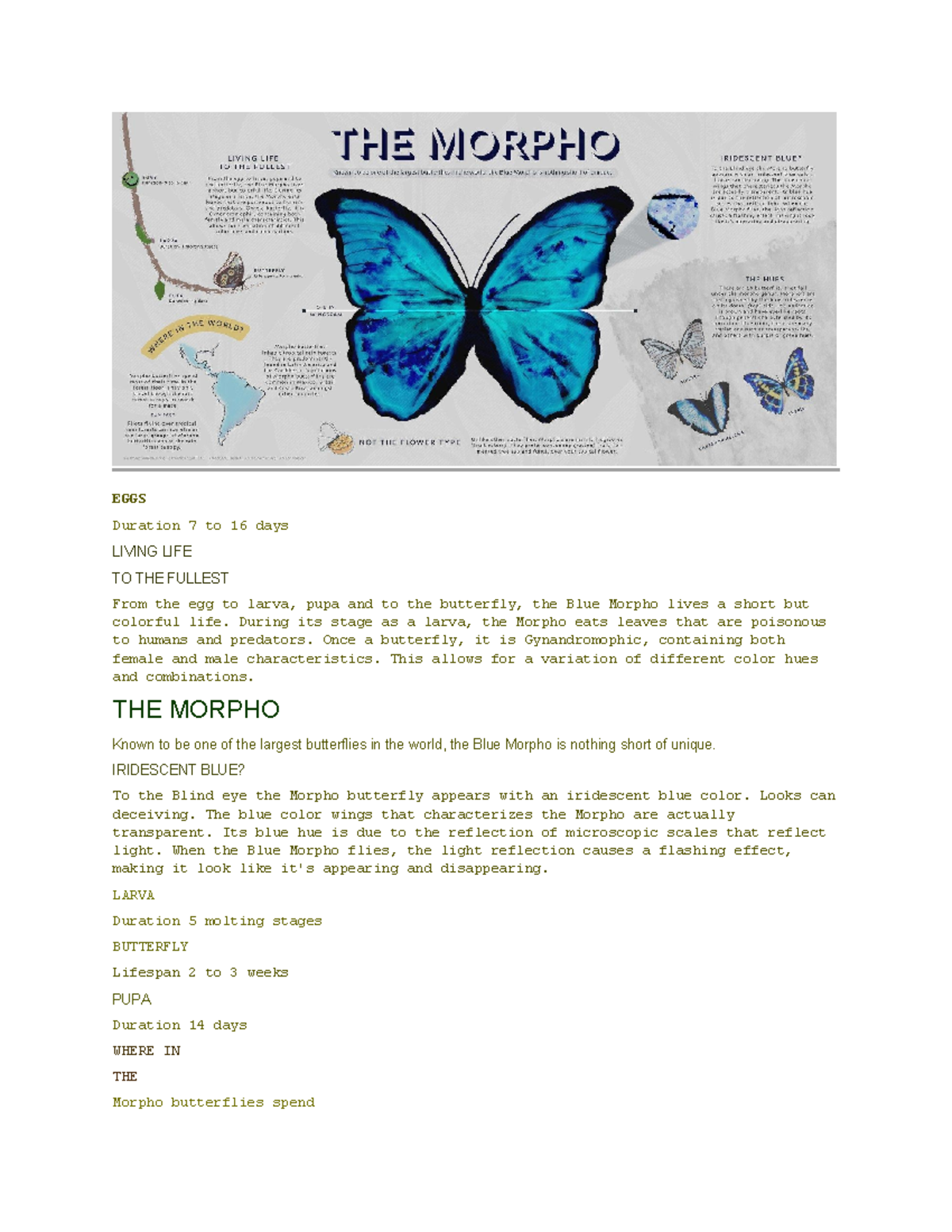 Infographic butterfly - EGGS Duration 7 to 16 days LIVING LIFE TO THE ...