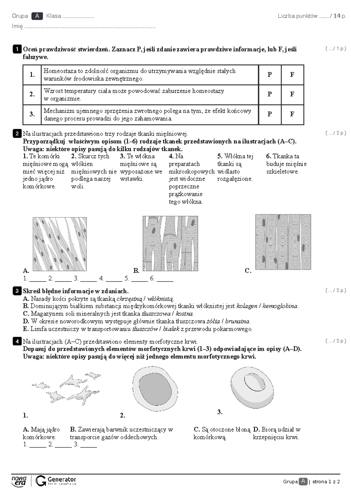Sprawdzian Gimnazjum 2 Skora Powłoka Organizmu www.studocu.com