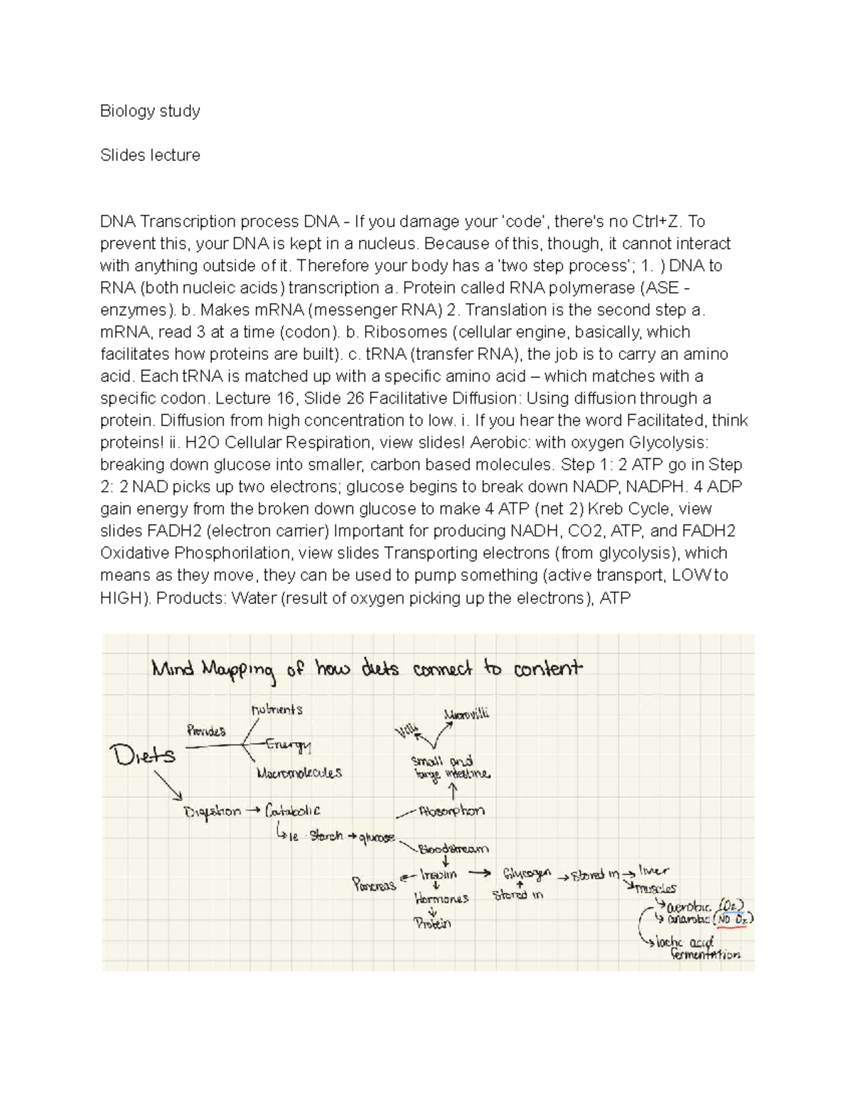 Biology Lecture Notes: DNA Transcription & Digestion - Studocu