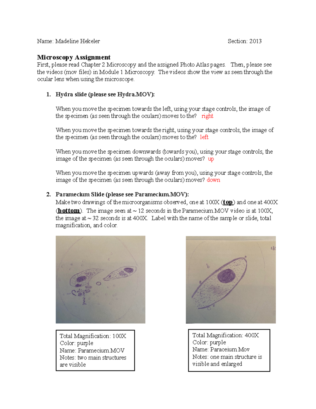 bio 245 Lab 2 Microscopy Assignment - Name: Madeline Hekeler Section ...