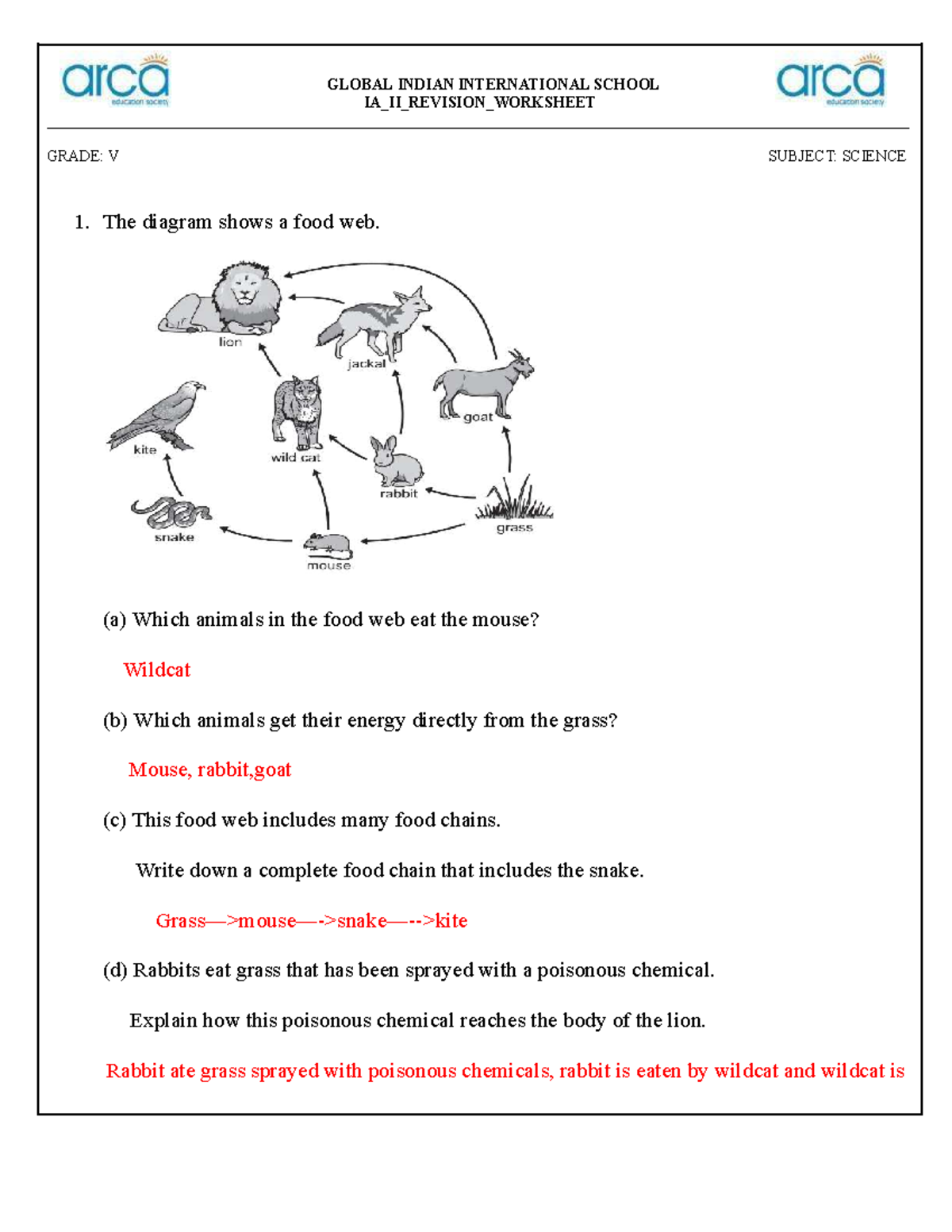 Grd 5 Science IA II Revision Worksheet: Food Web & Chains - Studocu