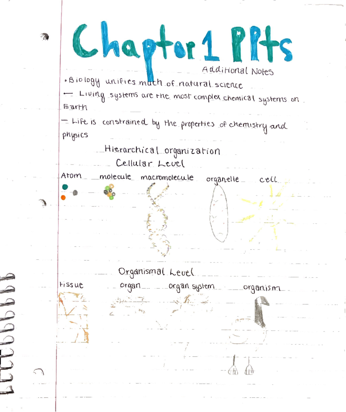 Bio 1406 Chapter 1 PowerPoints & Study Notes on Life Sciences - Studocu