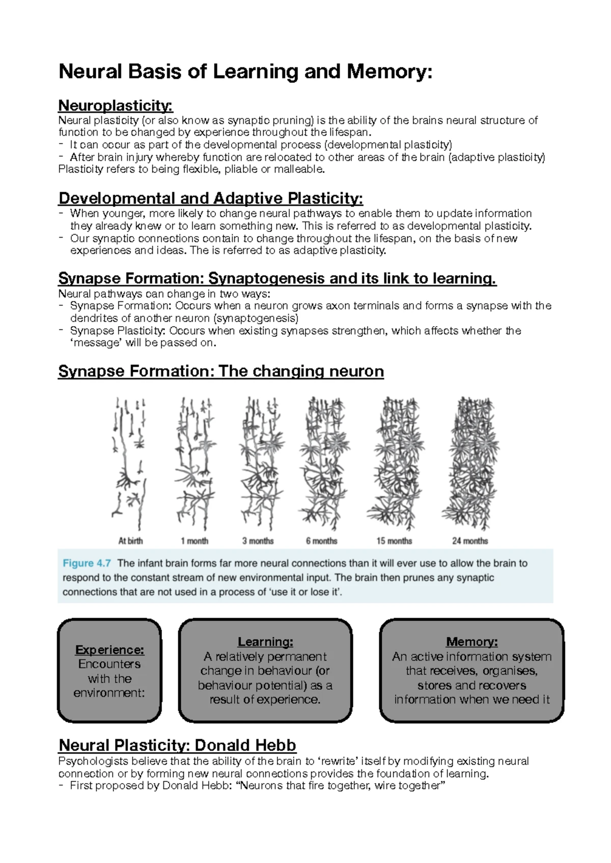 UNIT 3 AOS2 PSYCHOLOGY: Understanding Learning and Memory Processes ...