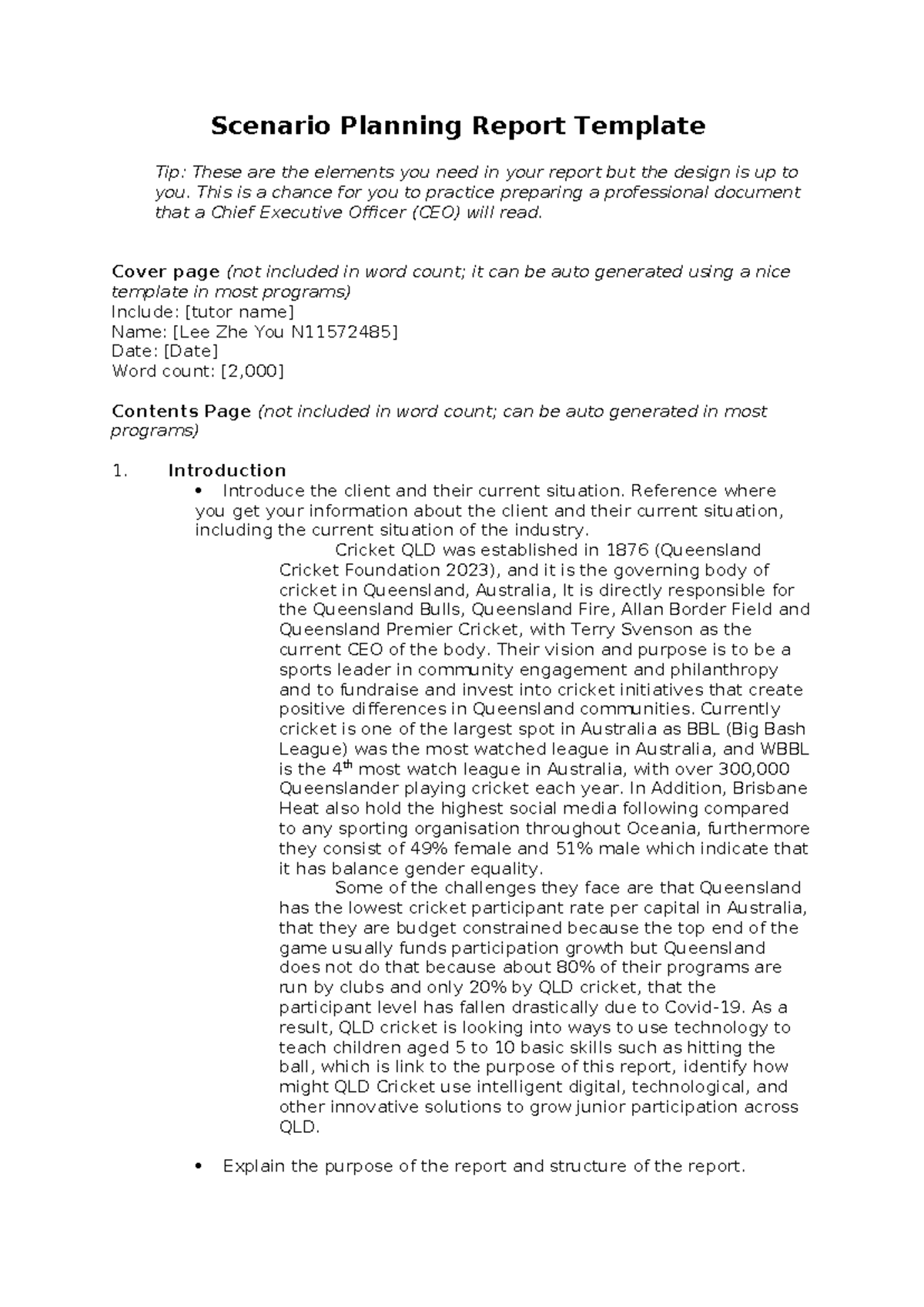 Scenario Planning Report Template