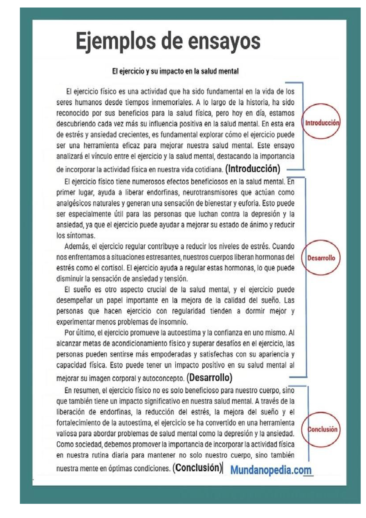 Ensayo: El Impacto del Ejercicio en la Salud Mental - Studocu