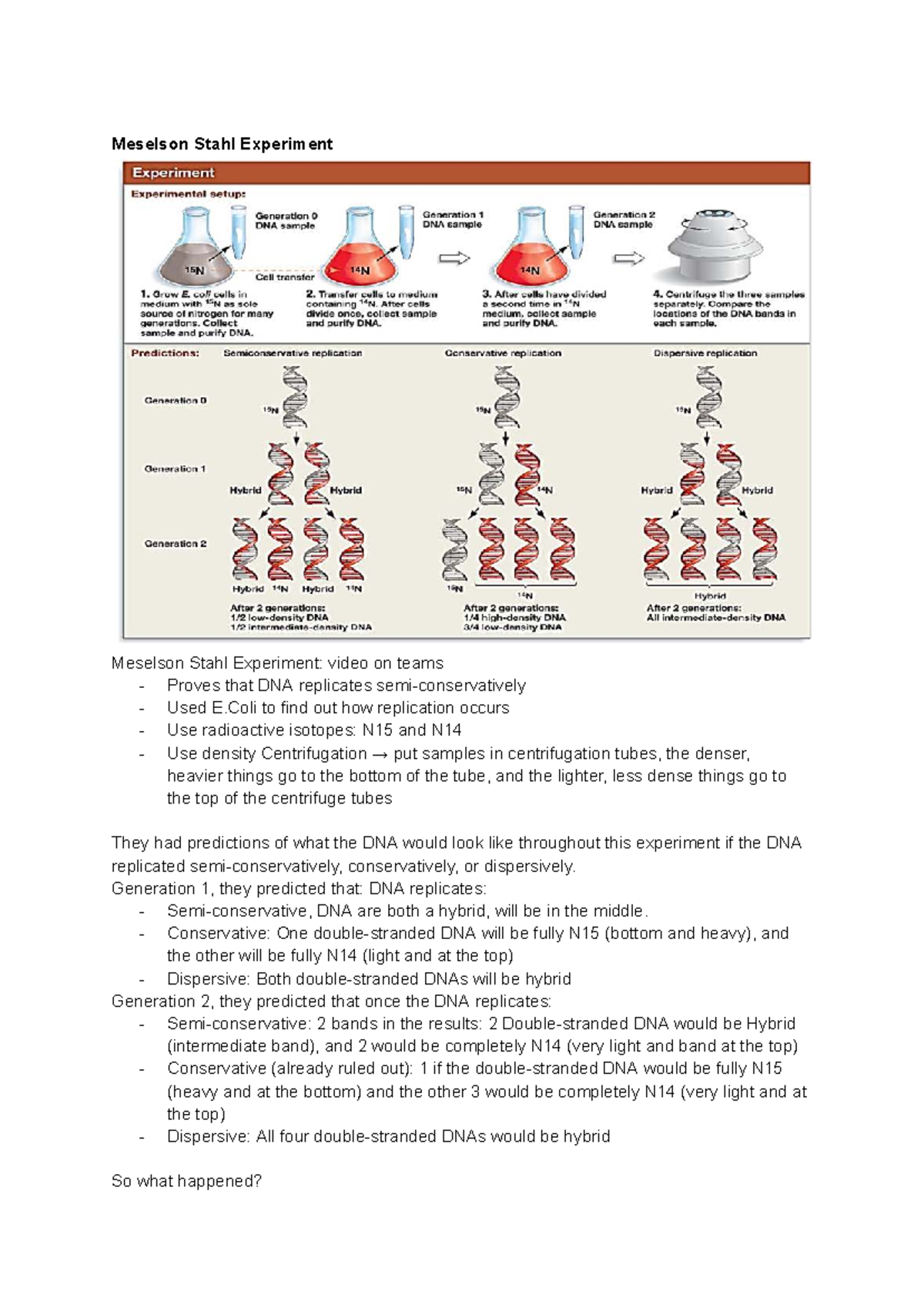 T4M1&2 Experiments - Detailed Notes on DNA Replication and Cell Cycle ...
