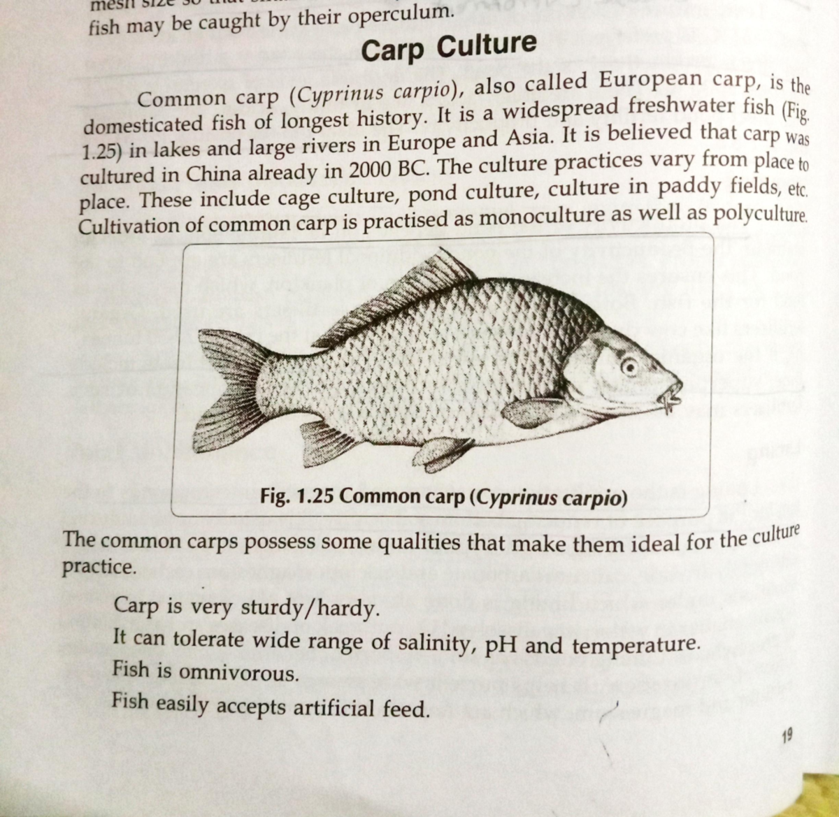 Scan 07 Aug 22 · 02·43·16 - mesit a ae fish may be caught their ...