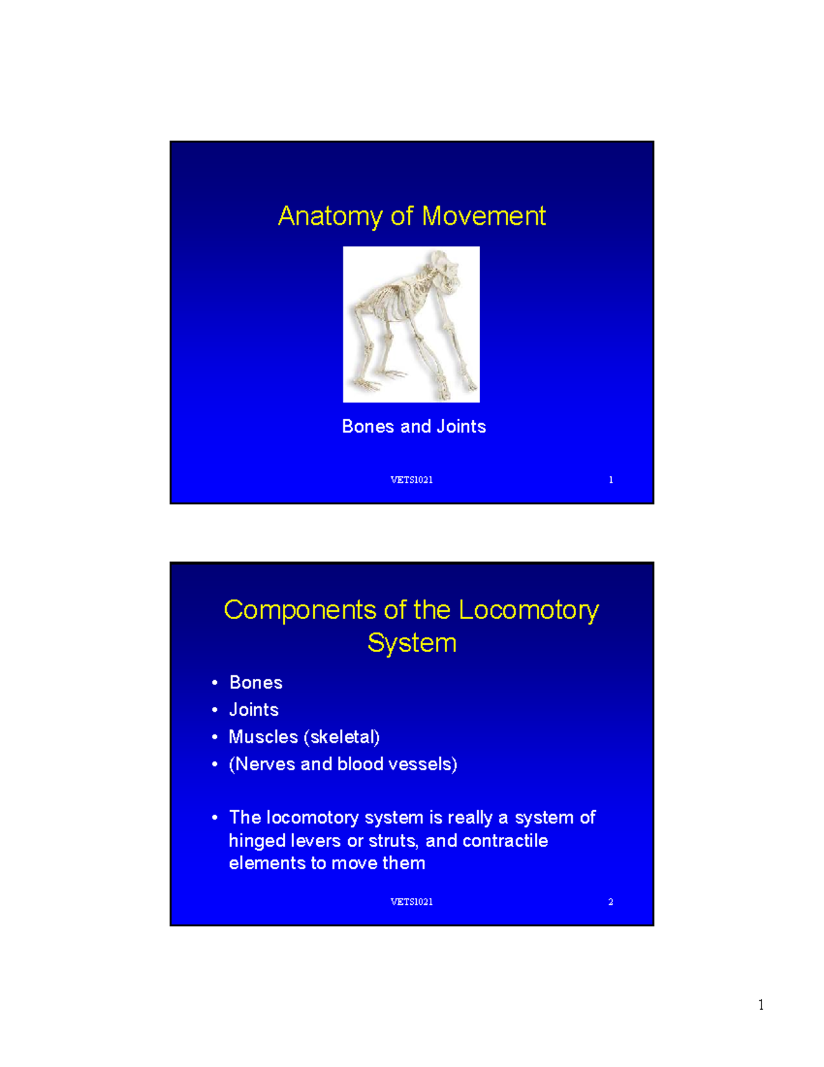VETS1021 Lecture Notes: Anatomy of Movement - Studocu