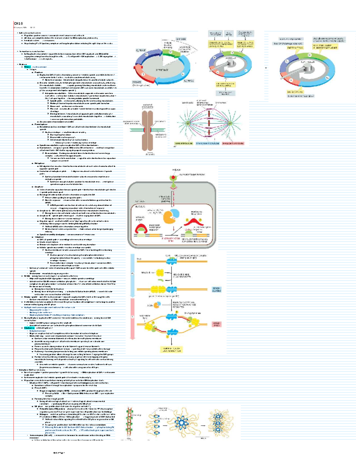 CH18 Cell Cycle Control Systems: Regulatory Proteins & Mitosis Summary ...