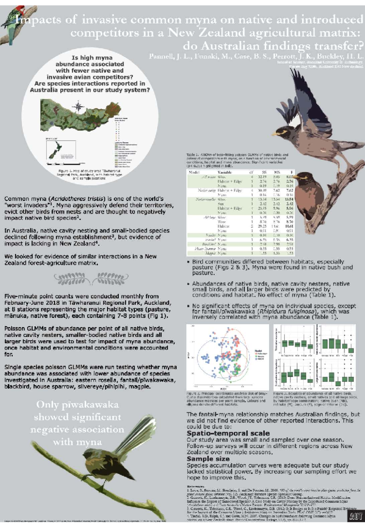Impacts of invasive common myna on native birds in New Zealand: a study ...