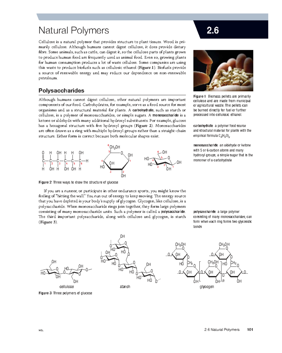 2.6 Natural Polymers: Structure, Function, and Applications in Biology ...