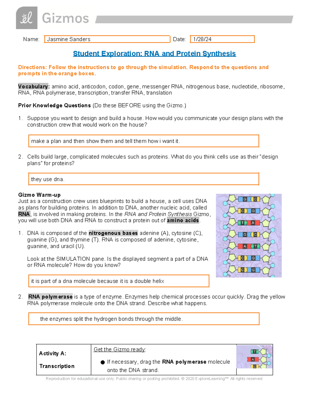 Protein Synthesis & RNA Guide - Jasmine Sanders - 7753622 - Studocu