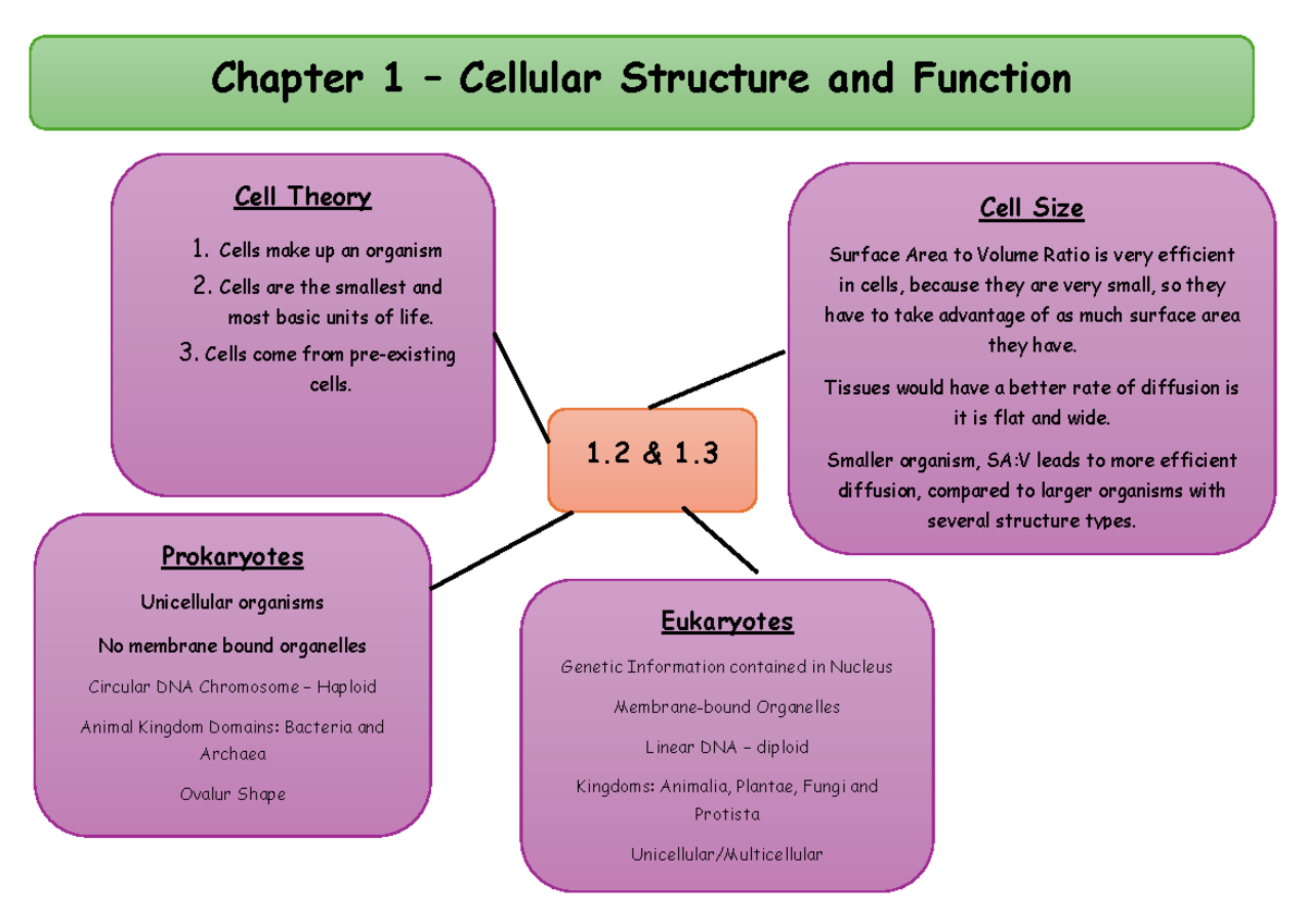 Chapter 1: Cellular Structure & Function - Cell Theory & Size (BIO101 ...
