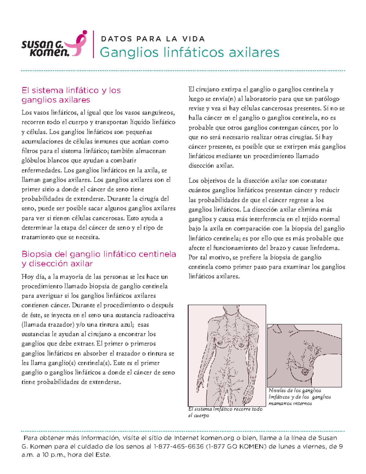 Axillary-Lymph-Nodes SPA- Final-KO2046-1-16-HR-1 - Para obtener más ...