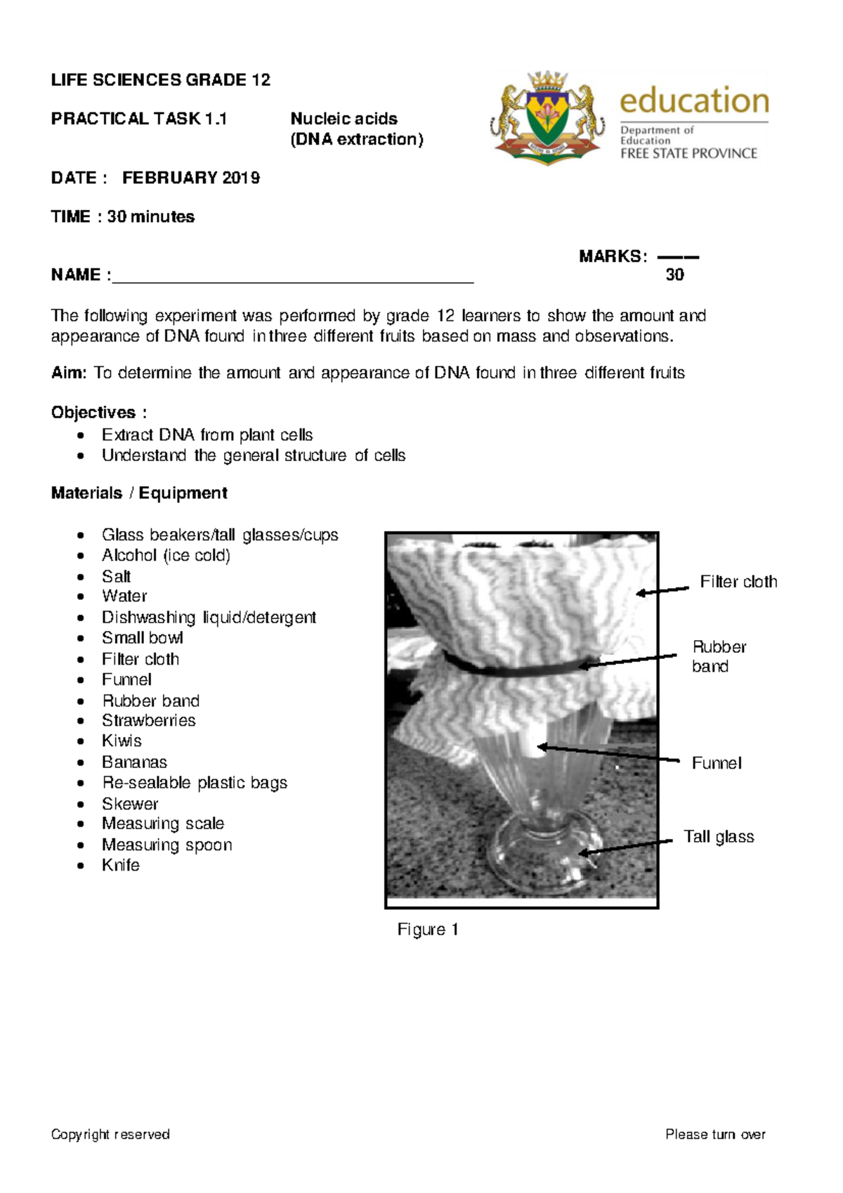 Grade 12 Life Sciences Practical 1 Feb 2019 ENG 1568737558 - LIFE ...