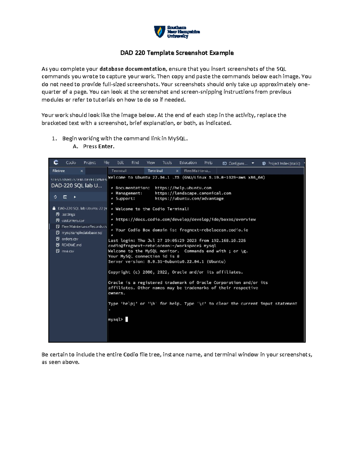 DAD 220 Database Documentation: Screenshot Guide - Studocu