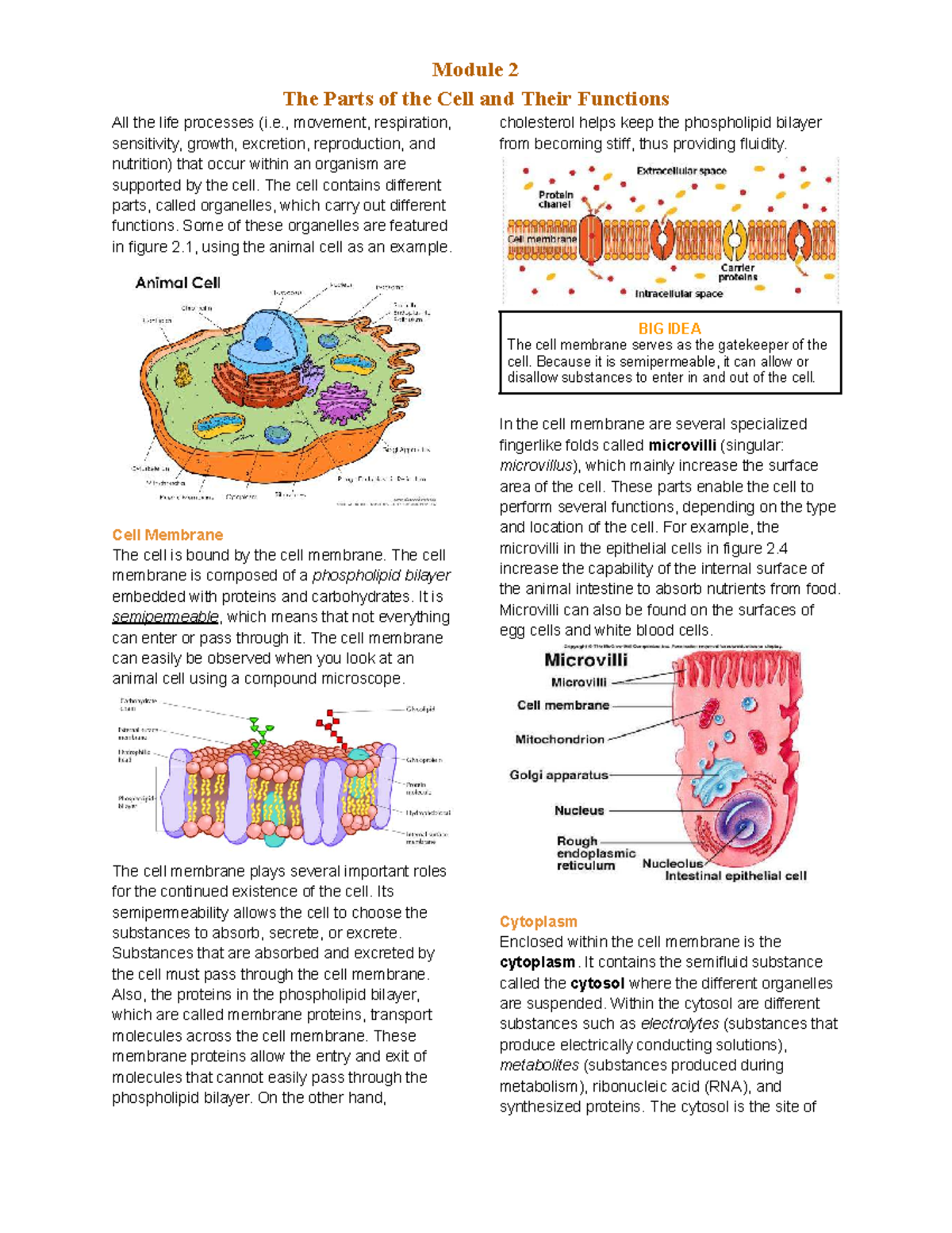 Lesson 2: The Parts of the Cell and Their Functions - Studocu