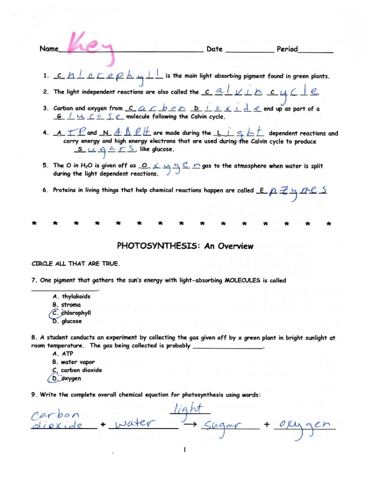 Photosynthesis Review Q&A Key: Concepts & Processes - Studocu