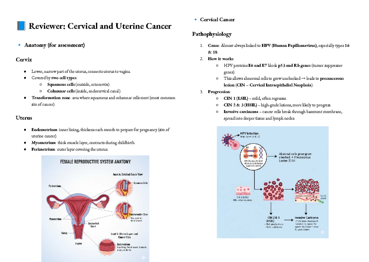 Cancer Medical Surgical Notes: Cervical & Uterine Cancer Anatomy and ...