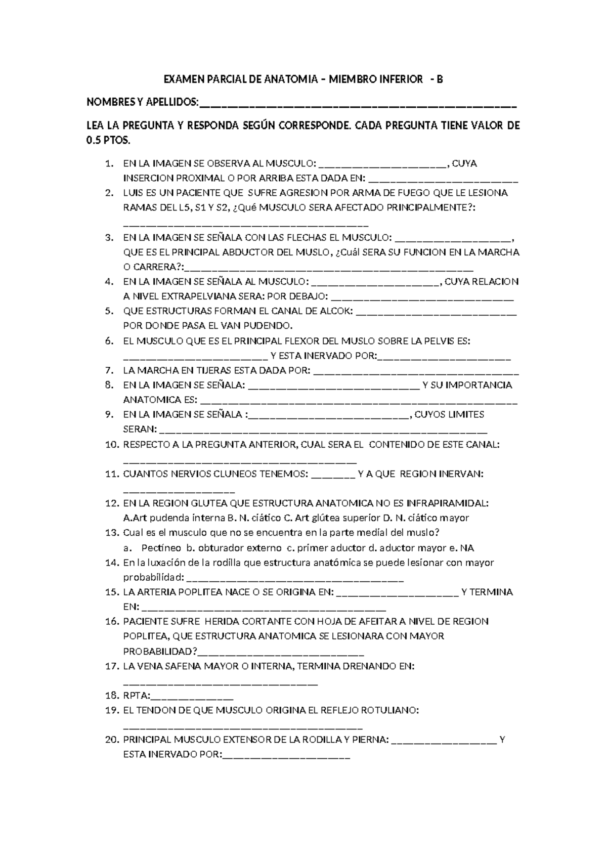 Examen Parcial de Anatomía - Miembro Inferior - B - Document Preview