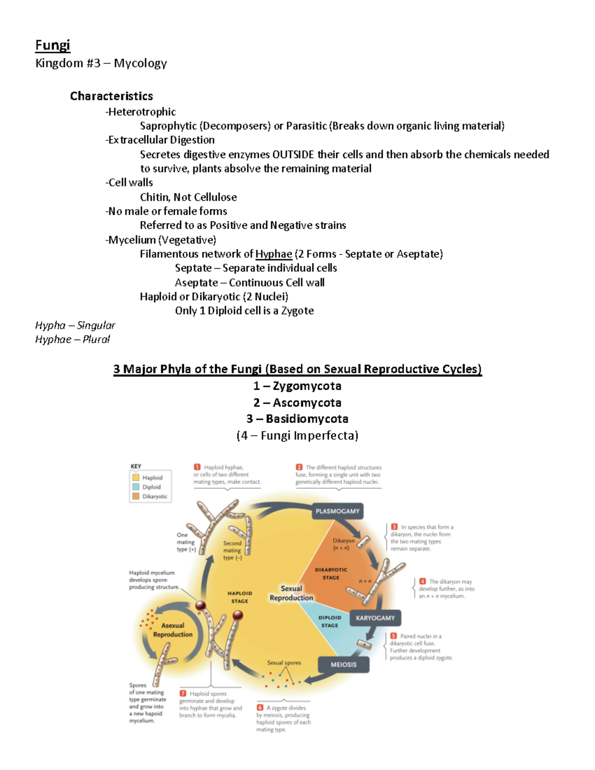 BIO 101 Study Guide for Test 2: Fungi, Plants & Their Life Cycles - Studocu