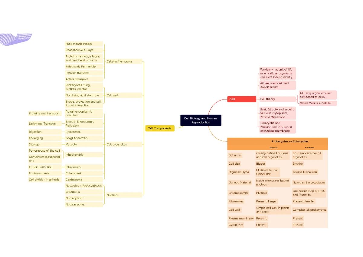 GIT pathology topics - INDEX 11 Pleomorphic Adenoma 121 Mucoepitheliod ...