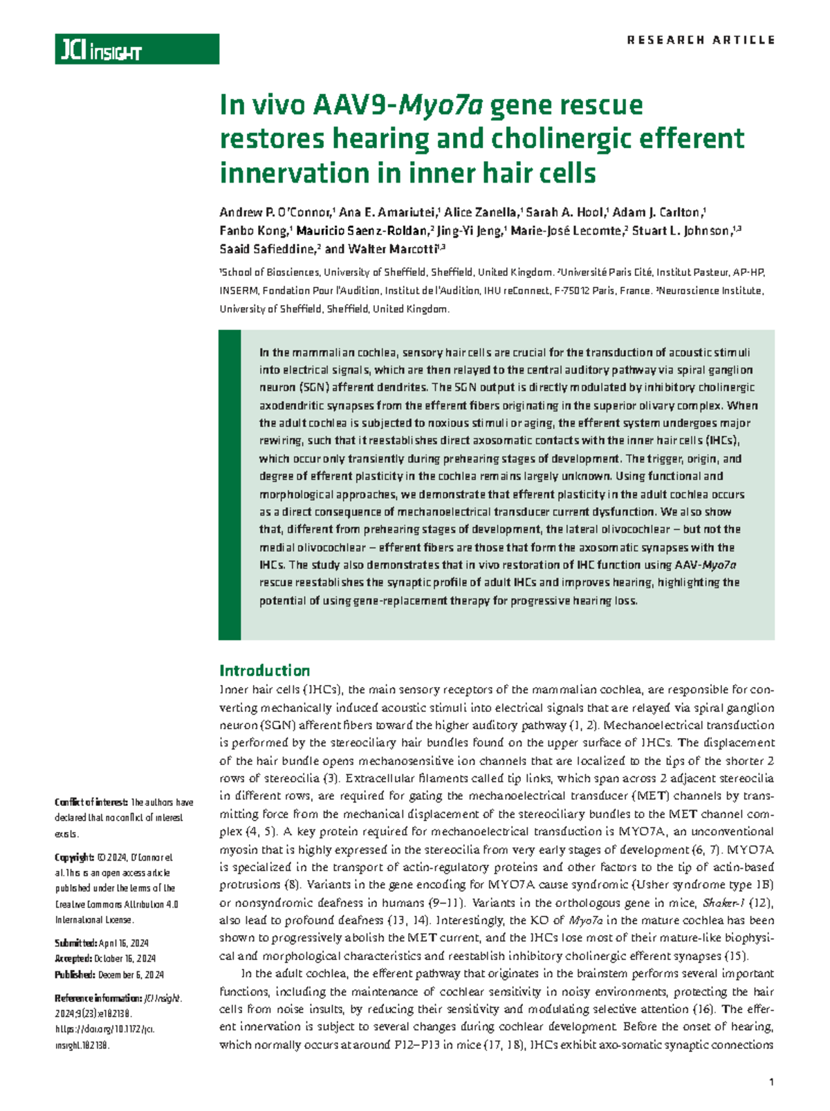 In Vivo Gene Therapy Restores Hearing and Efferent Synapses in IHCs ...