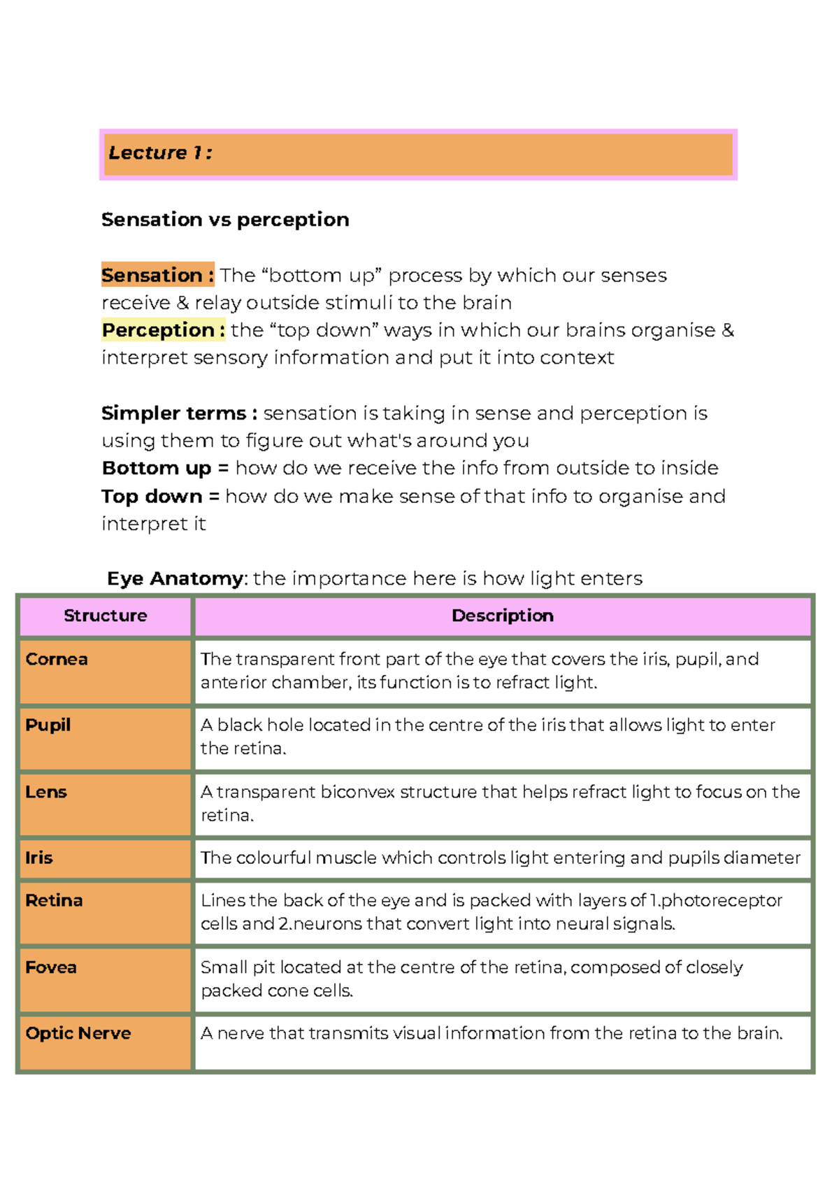 Visual Perception: Lecture 1 - Sensation vs. Perception (2nd Year T4 ...