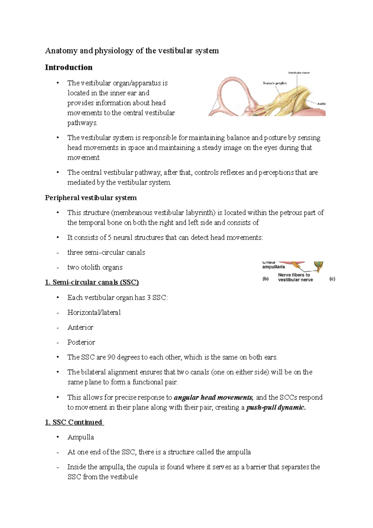 Abdominal Examination Reformatted - Abdominal Examination General ...
