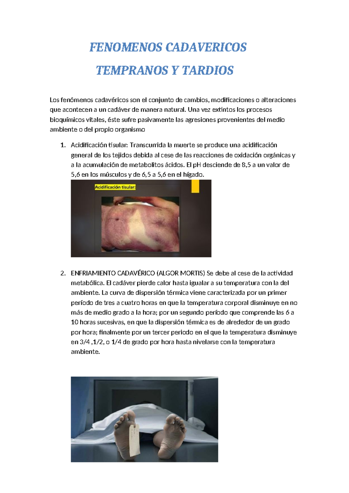 Fenómenos Cadavéricos: Cambios y Procesos Post-Mortem - Studocu