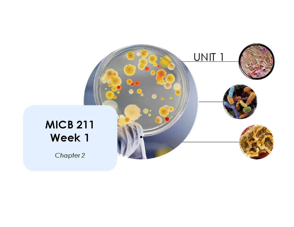MICB 101 Week 1 Chapter 2 Preclass Notes & Learning Objectives - Studocu