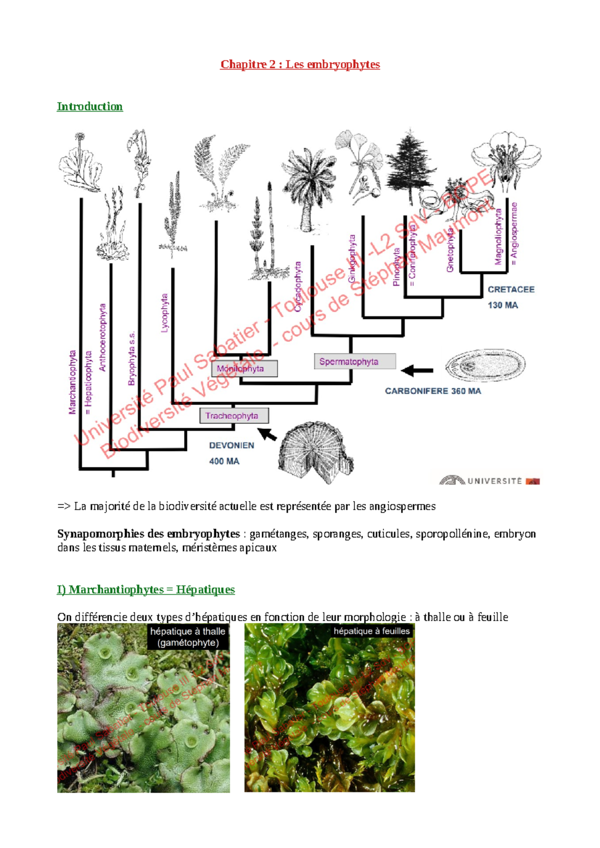 Chapitre 2 : Les Embryophytes et leur Diversité Végétale - Studocu