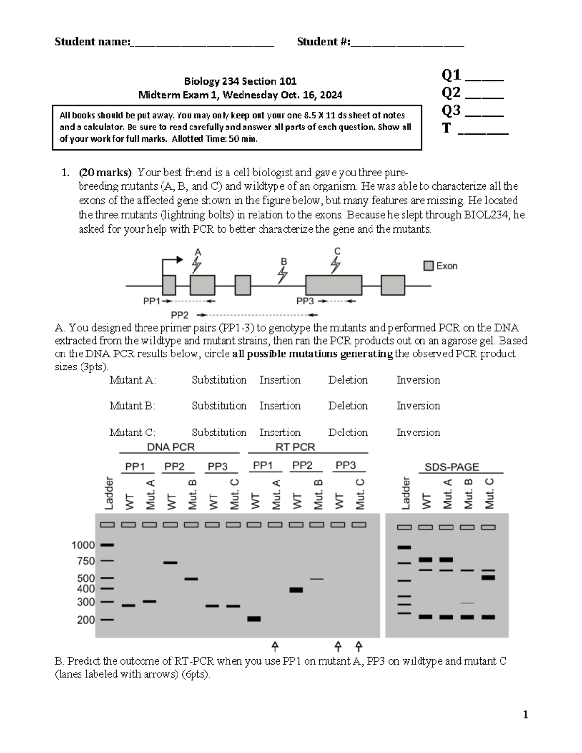 Biology 234-101 Midterm Exam 1 Practice Questions 2025W1 - Studocu