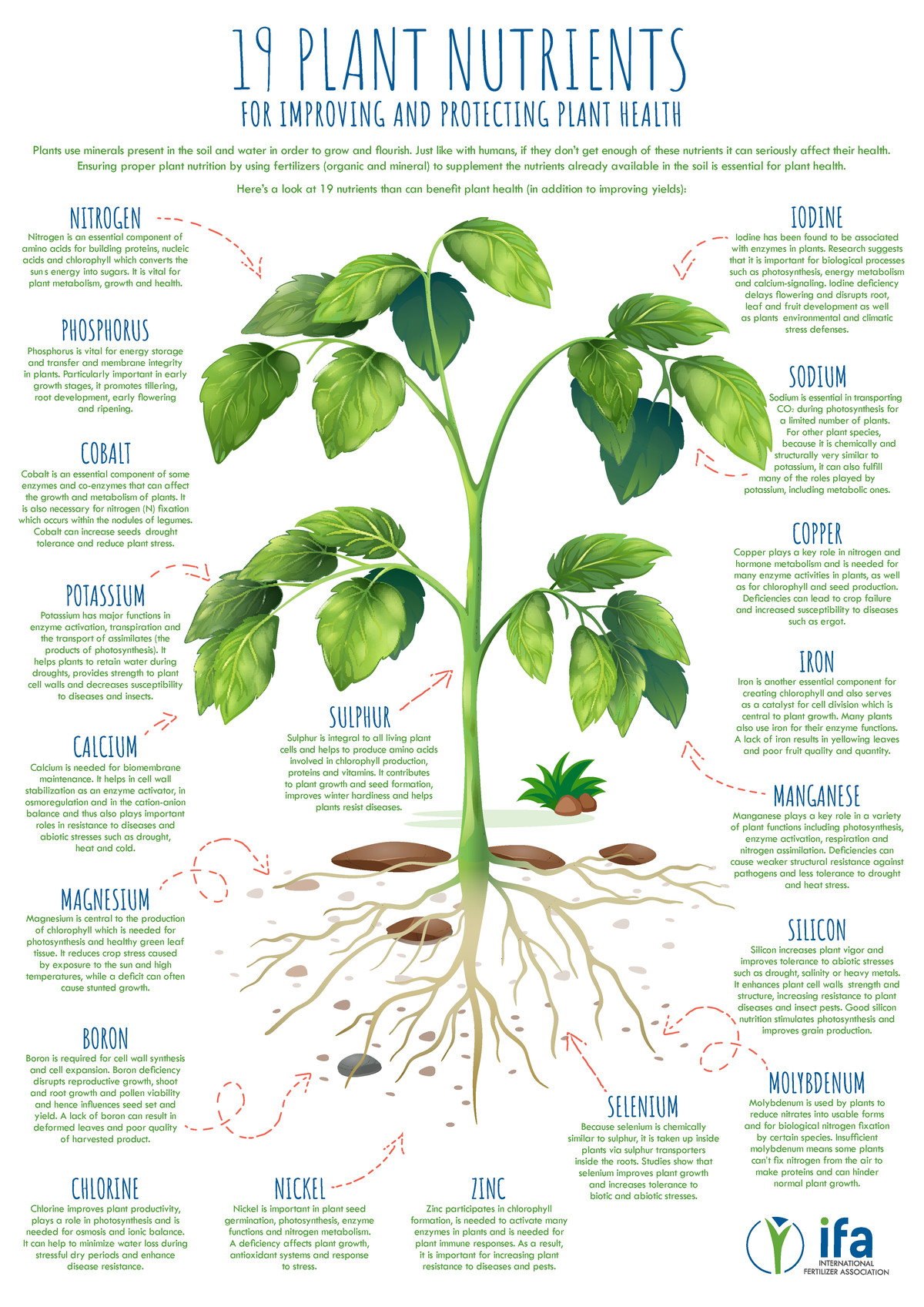 19 Essential Plant Nutrients for Health & Growth - 2020 IFA Infographic ...